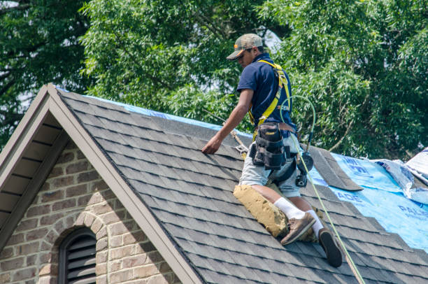 Best Roof Gutter Cleaning  in Mansura, LA